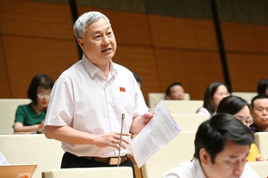 "Có tiền phung phí vào các dự án nhỏ, cần làm việc lớn lại khó khăn"