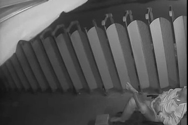 Băng trộm chó xịt hơi cay tấn công bảo vệ rồi cướp chó trước sự bất lực của bảo vệ