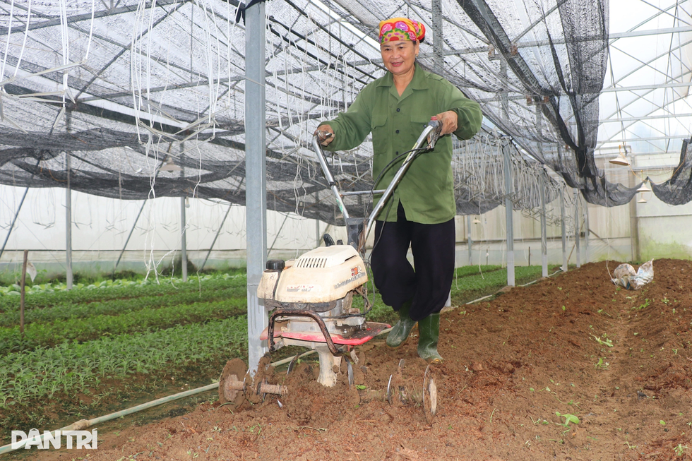 4 mắt xích mong manh đẩy giá rau tăng bằng lần sau bão lũ - 8 4 mắt xích mong manh đẩy giá rau tăng bằng lần sau bão lũ - 8