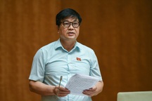 Biển ô tô cũng như số điện thoại, sao hạn chế quyền của người trúng đấu giá?