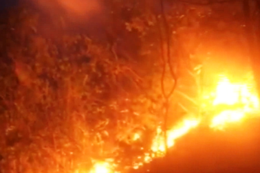 10 ha rừng bị thiêu rụi trong 26 tiếng: Nghi do đốt ong lấy mật