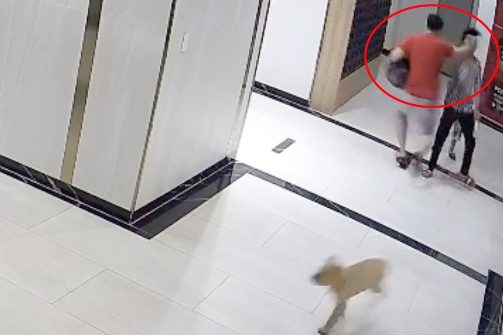 Nhiều người gặp nạn vì chó mèo thả rông ở TPHCM - 2 Nhiều người gặp nạn vì chó mèo thả rông ở TPHCM - 2
