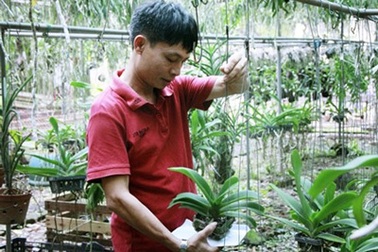 Từ anh bán hoa dạo thành ông chủ vườn lan rừng thu nhập tiền tỷ