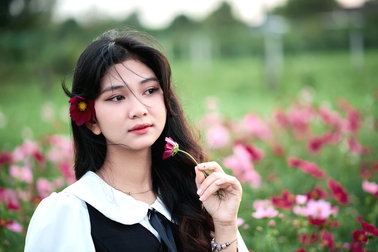 Check-in vườn hoa tam giác mạch nở rộ ở Quảng Nam