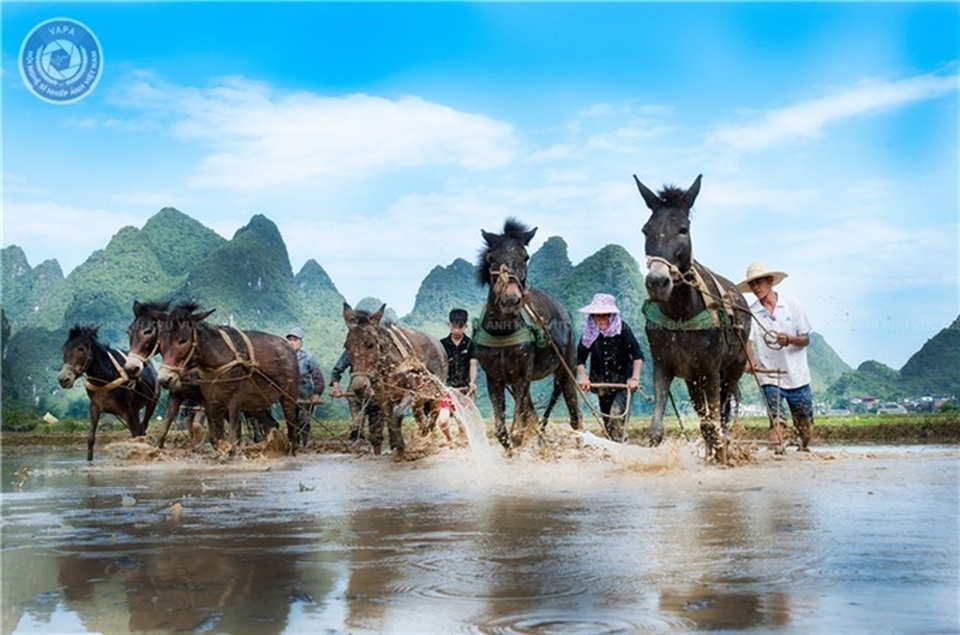 Vẻ đẹp đất và người vùng Tây bắc qua cuộc thi ảnh nghệ thuật - 14 Vẻ đẹp đất và người vùng Tây bắc qua cuộc thi ảnh nghệ thuật - 14