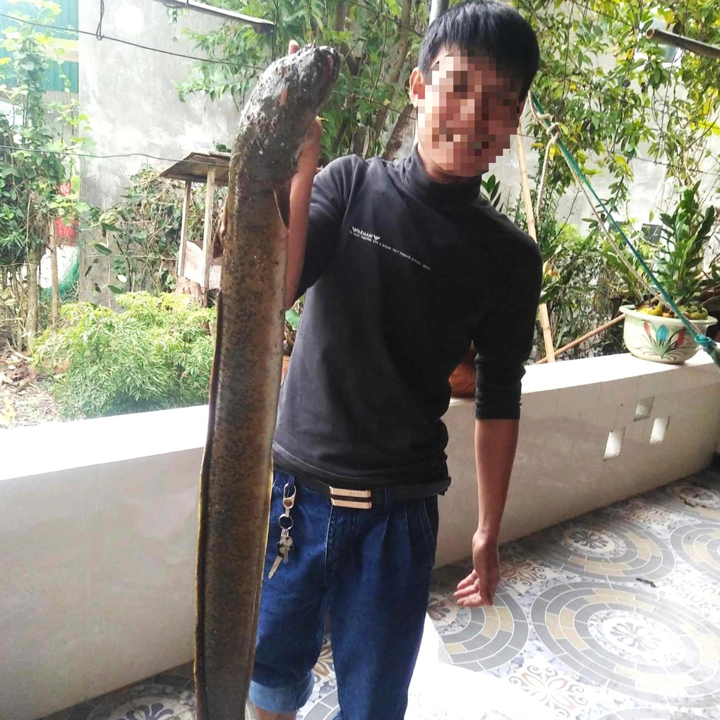 Mùa săn cá đặc sản trên sông Lam - 2 Mùa săn cá đặc sản trên sông Lam - 2