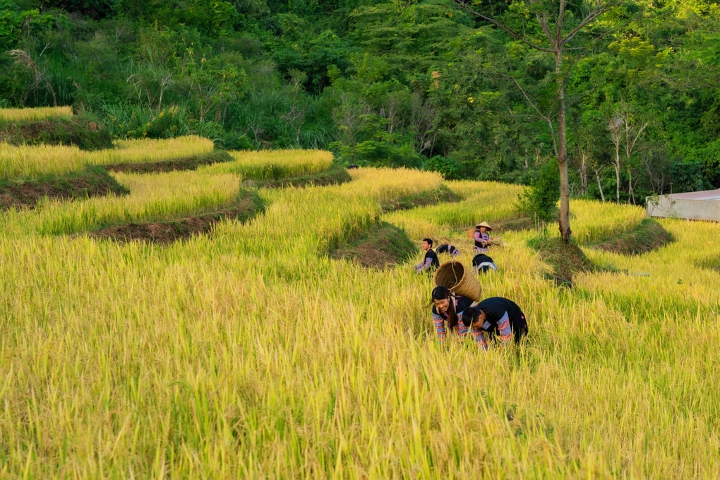 Biệt thự nghỉ dưỡng phong cách Pháp cạnh Hà Nội - 3 Biệt thự nghỉ dưỡng phong cách Pháp cạnh Hà Nội - 3