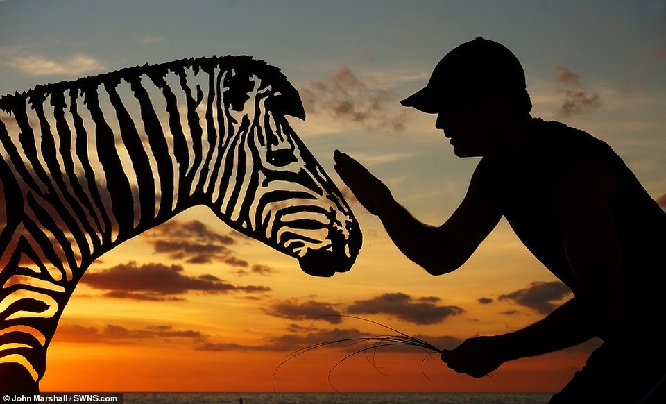 Sức sáng tạo không giới hạn đến từ những… chiếc bóng - 6