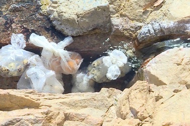 Phú Yên có 5 nguồn khoáng nóng nhưng chưa được khai thác đúng mức