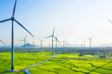 Áp lực trả nợ trái phiếu của các thành viên Trungnam Group ra sao?