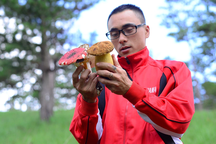 Ngón nghề né nấm độc, tìm đặc sản trong rừng thông Đà Lạt