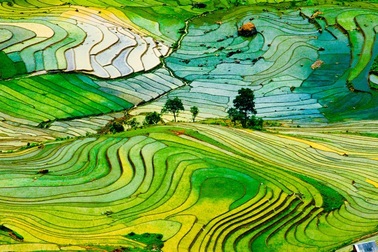 Ruộng bậc thang Sa Pa lọt vào danh sách những nơi đẹp nhất thế giới 
