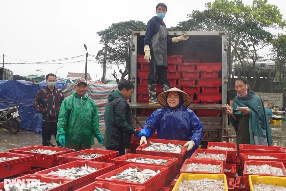 Đội mưa rét kiếm ngày triệu bạc, thợ bốc xếp ở cảng cá mơ Tết ấm - 10 Đội mưa rét kiếm ngày triệu bạc, thợ bốc xếp ở cảng cá mơ Tết ấm - 10