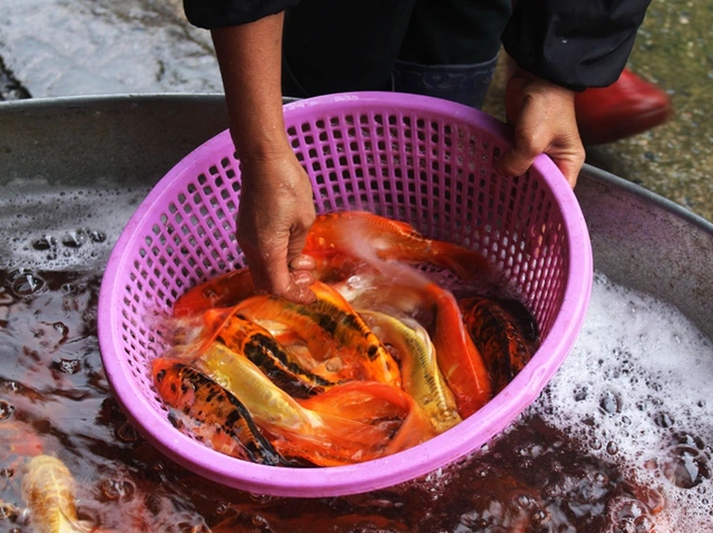 Mâm cúng ông Công, ông Táo và cách hành lễ cần lưu ý - 2