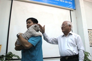 Khen thưởng tập thể nhân giống thành công loài hổ trắng quý hiếm