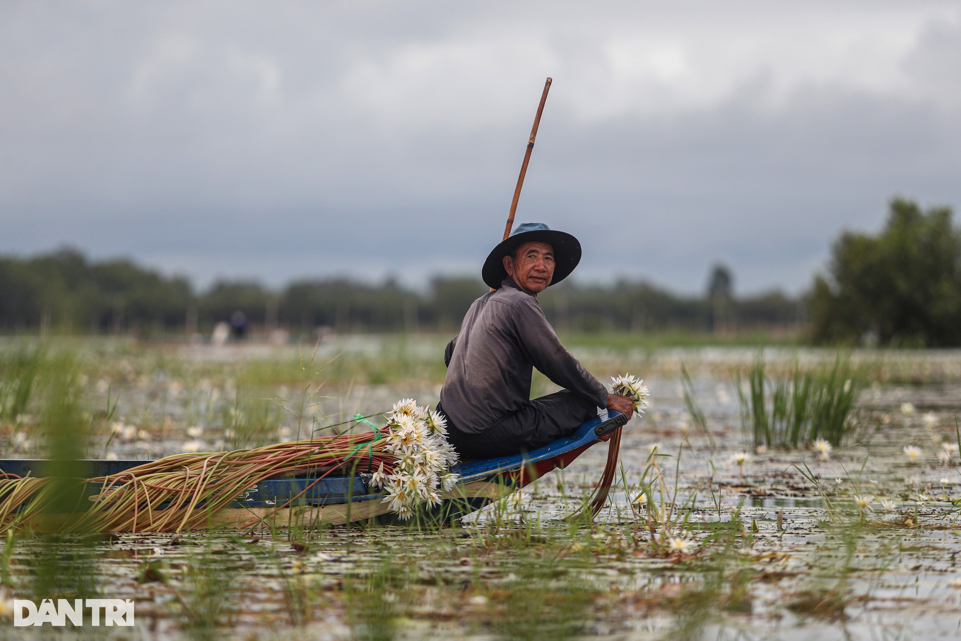 Người dân sống khỏe nhờ loại hoa ma, dài tới 7m - 3