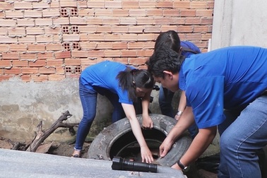 Sẽ phạt tiền nếu không diệt loăng quăng, bọ gậy