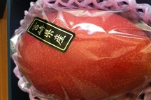 Quả xoài 1,7 triệu, vải thiều 400 nghìn đồng/12 quả: Xót lòng dân Việt