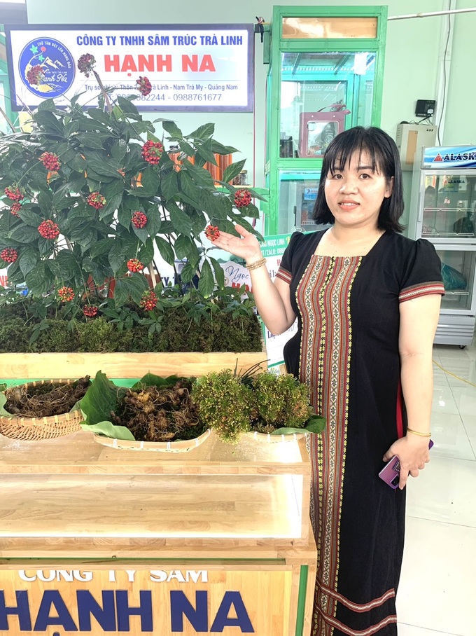 Sâm Ngọc Linh được trưng bày tại phiên chợ