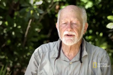 Xem loài cua lớn nhất trên cạn rỉa sạch xác của một con heo!