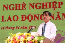 Hà Nội: 250 vị trí việc làm có mức lương trên 30 triệu đồng/tháng