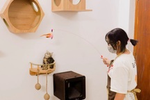 Khách sạn 5 sao cho thú cưng "cháy" phòng dịp Tết, khách đặt trước 2-3 tuần