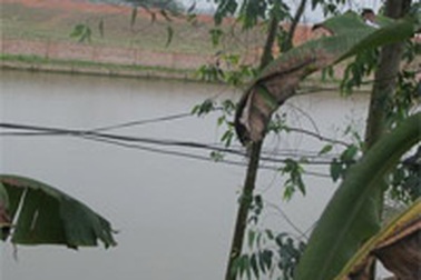 Bí thư Huyện uỷ từng ký “nhầm” gần 8.000 m2 đất?