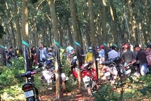 Phát hiện thi thể thiếu nữ nghi bị sát hại trong vườn cao su