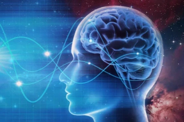 Bộ não suy nghĩ như thế nào?