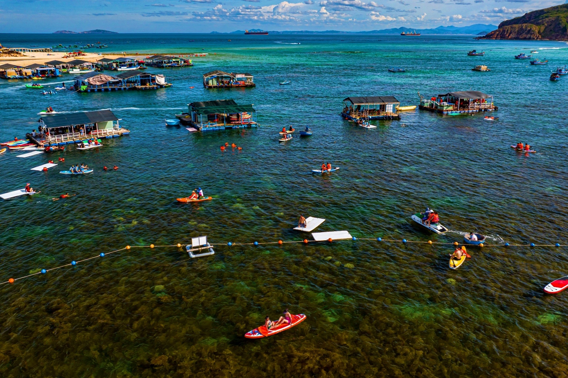 View - Ngất ngây với cánh đồng rong mơ giữa biển ở Quy Nhơn | Báo Dân trí