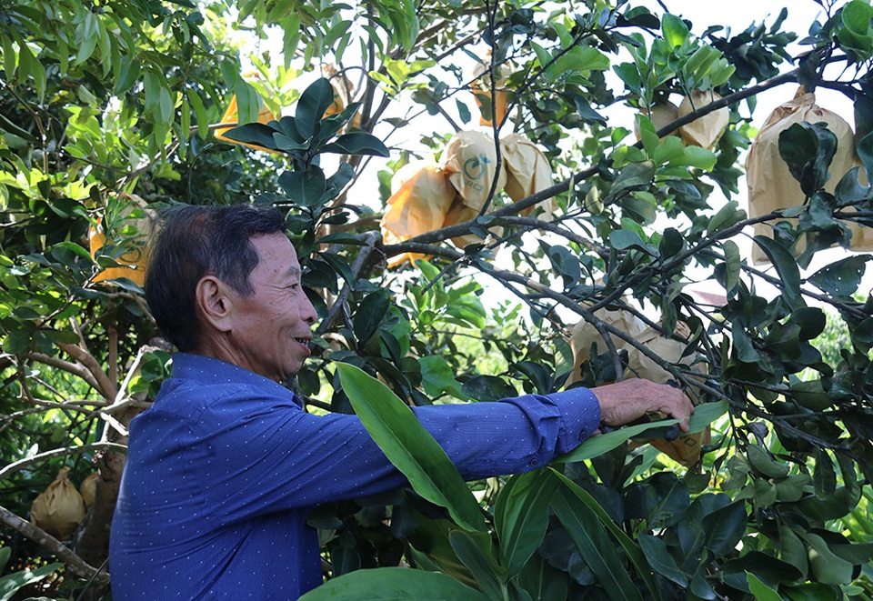 Bắt vườn tạp “đẻ” trăm triệu đồng/năm, thương binh thoát nghèo bền vững - 5 Bắt vườn tạp “đẻ” trăm triệu đồng/năm, thương binh thoát nghèo bền vững - 5