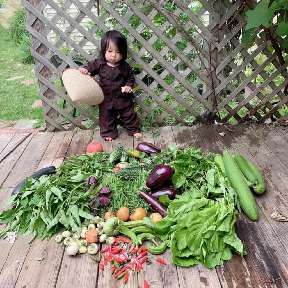 Mẹ Việt ở Mỹ mát tay chăm vườn rau trái sai trĩu, cho kích thước khủng - 5 Mẹ Việt ở Mỹ mát tay chăm vườn rau trái sai trĩu, cho kích thước khủng - 5