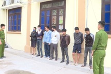 7 đối tượng “sức dài, vai rộng” lập nhóm chuyên đi trộm cắp cây cảnh