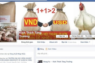 Bung đùi cho heo, gây hại cho người