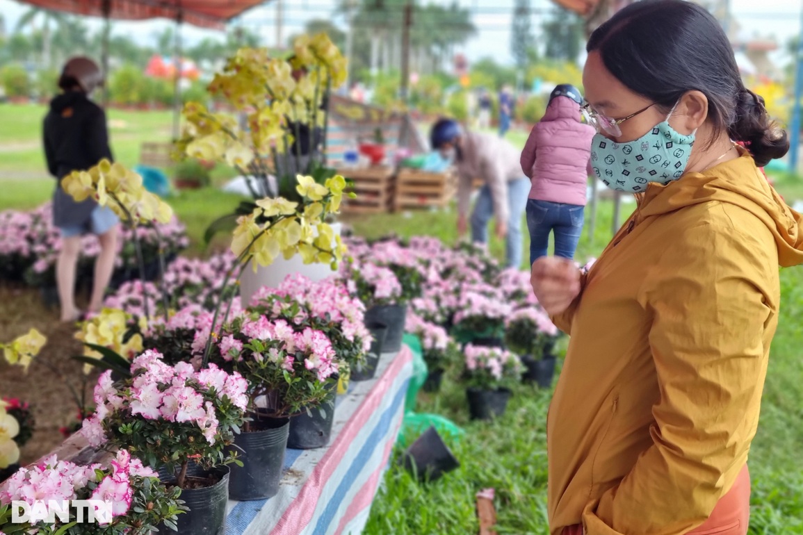 Chợ hoa 29 Tết đông nghịt người, người bán đồng loạt xả hàng - 5 Chợ hoa 29 Tết đông nghịt người, người bán đồng loạt xả hàng - 5