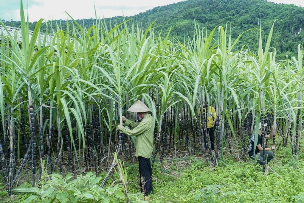 Bộ TN-MT trả lời khiếu nại của người chiếm hơn 72.500m2 đất - 2 Bộ TN-MT trả lời khiếu nại của người chiếm hơn 72.500m2 đất - 2