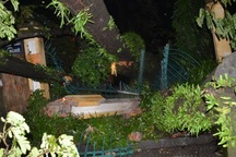 Cây cổ thụ bật gốc, xô đổ tường rào Thảo Cầm Viên Sài Gòn