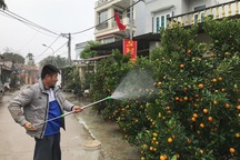 Cuộc sống thôn Hoành trở lại bình yên, chốt chặn vào Đồng Tâm được dỡ bỏ