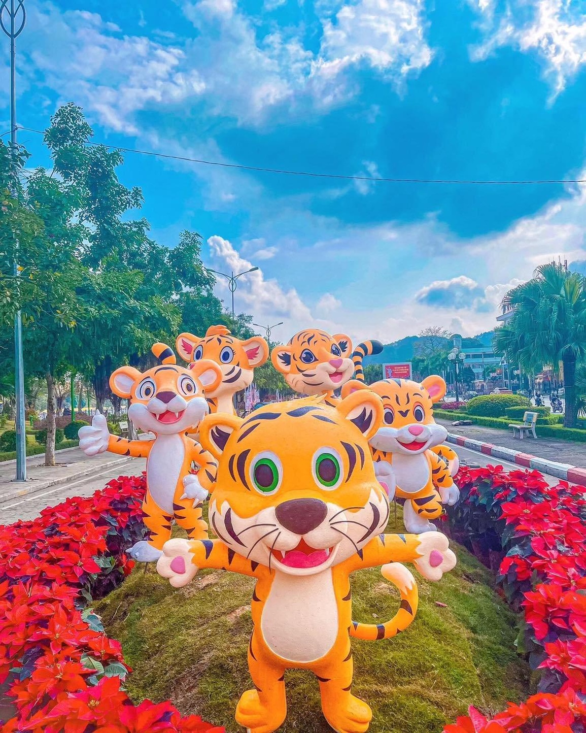 Cuộc tranh hùng của những chú siêu hổ 64 tỉnh thành mùa xuân 2022 - 6 Cuộc tranh hùng của những chú siêu hổ 64 tỉnh thành mùa xuân 2022 - 6