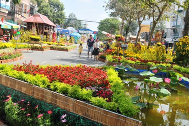 Ngắm đường hoa Tây Đô sống động trong sắc Xuân mới