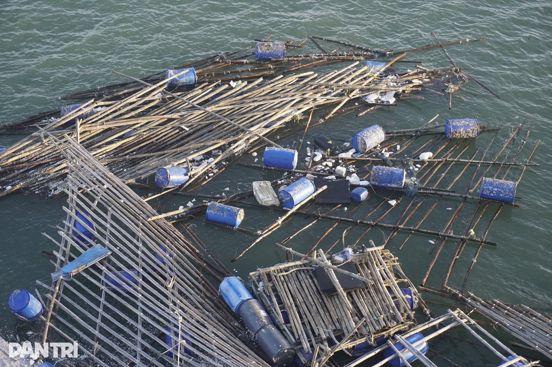 Ngư dân thất thần sau bão Kalmaegi: Trắng tay rồi, tan nát hết! - 2