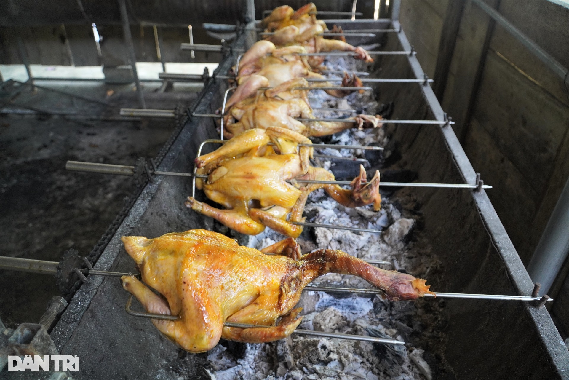 Hàng nghìn người rủ nhau lên rừng trốn nóng trong kỳ nghỉ lễ - 9 Hàng nghìn người rủ nhau lên rừng trốn nóng trong kỳ nghỉ lễ - 9