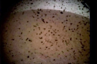 Hé lộ hình ảnh đầu tiên trên sao Hoả trong sứ mệnh mới nhất của NASA