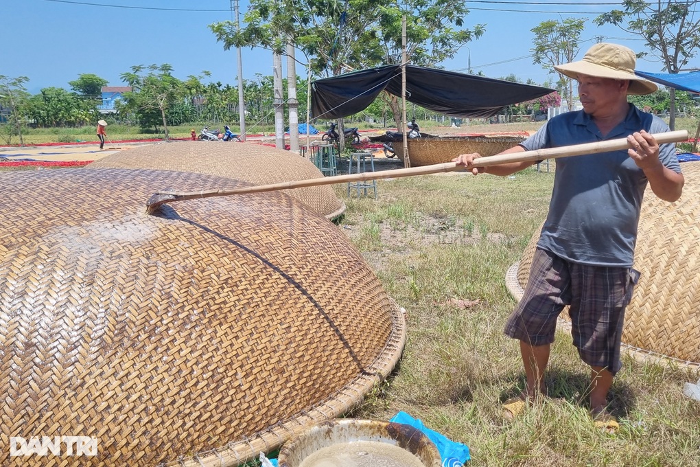 Thợ làm thuyền thúng chia sẻ công dụng không ngờ của phân bò - 4