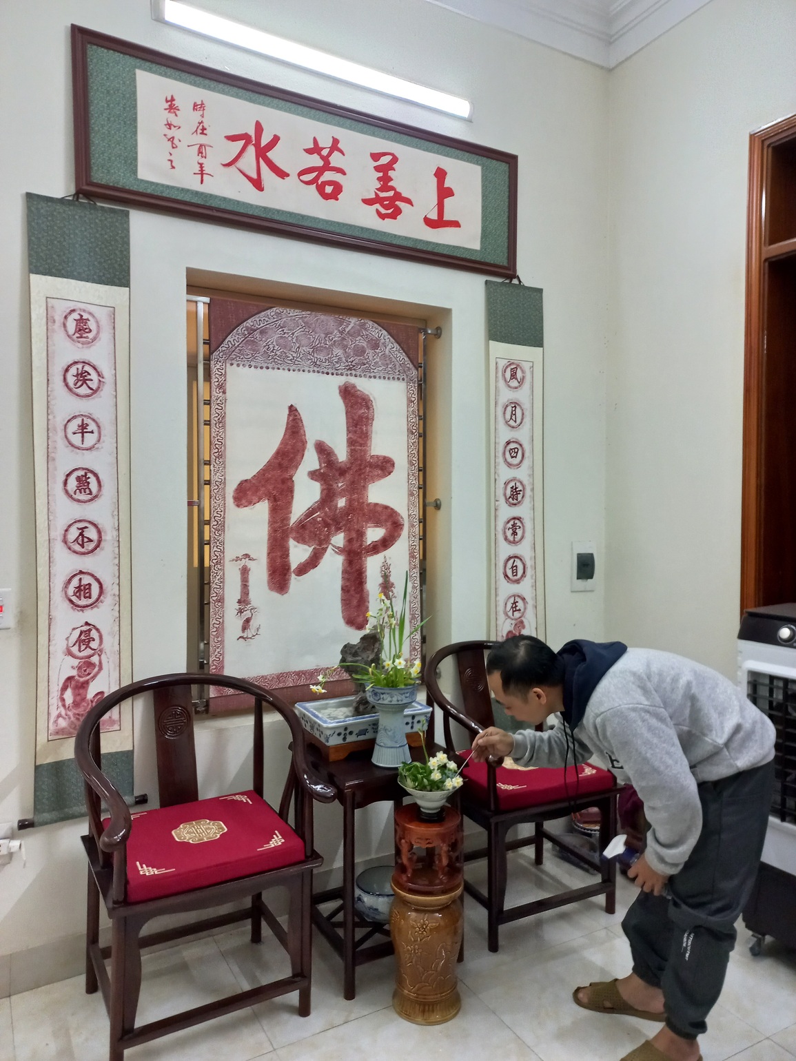 Sắm đèn cực tím chăm hoa đĩa ngọc, chén vàng khoe sắc, tỏa hương dịp Tết - 11 Sắm đèn cực tím chăm hoa đĩa ngọc, chén vàng khoe sắc, tỏa hương dịp Tết - 11