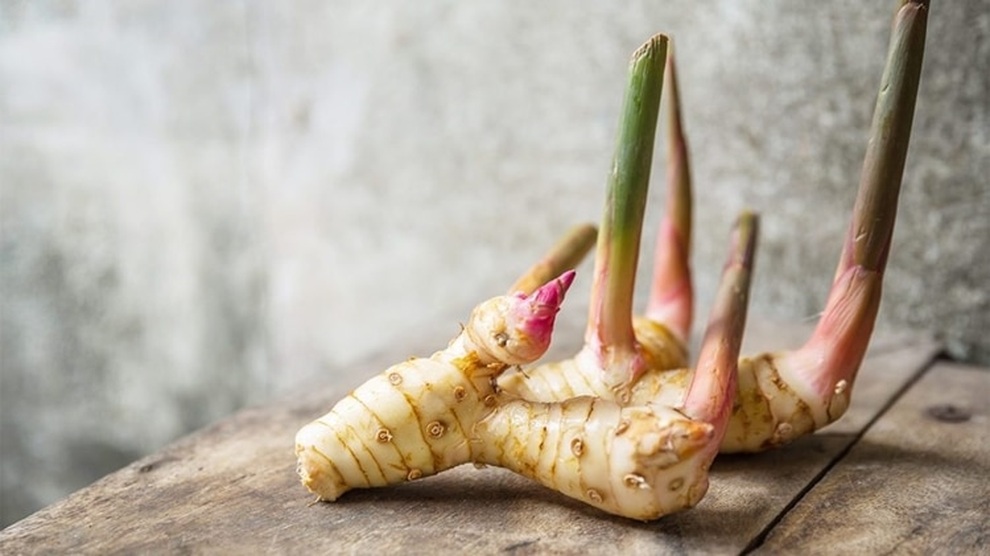 5 loại gia vị đắt đỏ, hiếm có khó tìm nhất thế giới, ở Việt Nam cũng có - 7 5 loại gia vị đắt đỏ, hiếm có khó tìm nhất thế giới, ở Việt Nam cũng có - 7