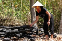 Hé lộ nguyên nhân nữ sinh 14 tuổi đốt hàng loạt nhà rơm