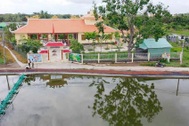 Tây Ninh đón nhận Di sản văn hóa phi vật thể quốc gia Lễ hội Đình Tân Chánh