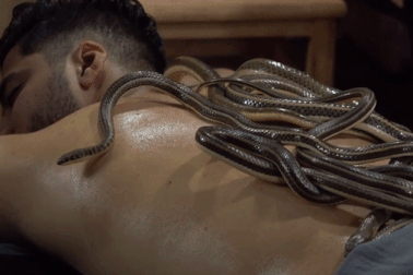 "Ớn lạnh" xem cảnh bầy rắn lúc nhúc trườn bò trên người massage