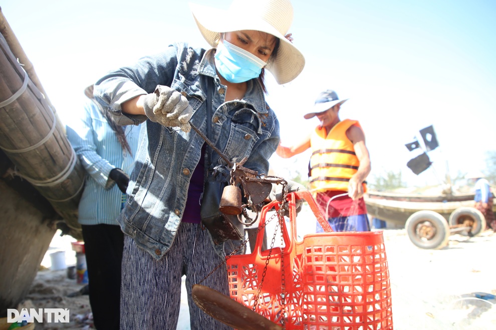 Những chuyến ra khơi chớp nhoáng mang về tiền triệu cho ngư dân - 5 Những chuyến ra khơi chớp nhoáng mang về tiền triệu cho ngư dân - 5